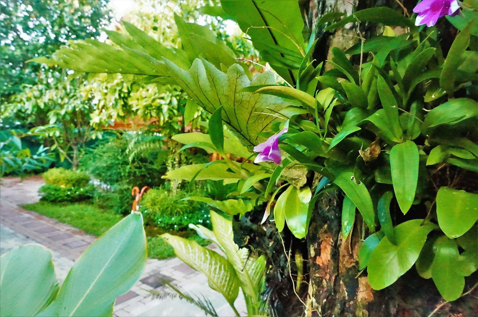 Casa vacanze Ruen Tai Boutique Phuket